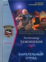 читать Карательный отряд