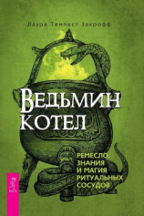 читать Ведьмин котел: ремесло, знания и магия ритуальных сосудов