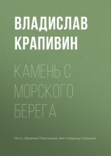 читать Камень с морского берега