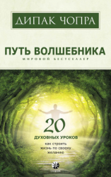 читать Путь волшебника. 20 духовных уроков. Как строить жизнь по своему желанию