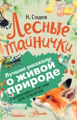 читать Лесные тайнички. С вопросами и ответами для почемучек