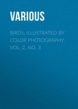 читать Birds, Illustrated by Color Photography, Vol. 2, No. 3