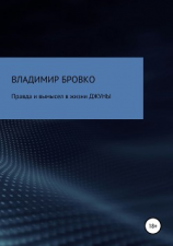 читать Правда и вымысел в жизни ДЖУНЫ