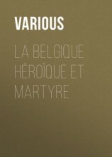 читать La Belgique héroïque et martyre