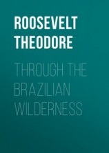 читать Through the Brazilian Wilderness