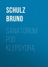 читать Sanatorium Pod Klepsydrą