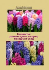 читать Гиацинты: разные цвета и сорта, посадка и уход