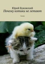 читать Почему котики не летают. Сказка