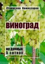 читать Виноград на дачных 5 сотках. Издание второе, исправленное и дополненное