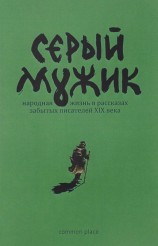 читать Серый мужик [Народная жизнь в рассказах забытых русских писателей XIX века]