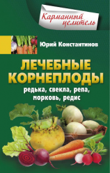 читать Лечебные корнеплоды. Редька, свекла, репа, морковь, редис