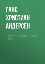 читать Прекраснейшая роза мира