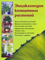 читать Энциклопедия комнатных растений