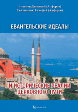 читать Евангельские идеалы и исторические реалии церковного пути