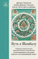 читать Путь в Шамбалу. Собрание учений мастеров традиции Джонанг под названием «Сокровищница Дхармы. Светоч, рассеивающий тьму»