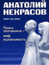 читать Поиск половинок - миф и реальность