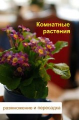 читать Комнатные растения. Размножение и пересадка