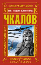 читать Чкалов. Взлет и падение великого пилота