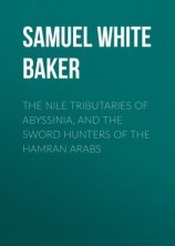 читать The Nile Tributaries of Abyssinia, and the Sword Hunters of the Hamran Arabs