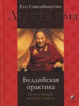 читать Буддийская практика. Путь к жизни, полной смысла