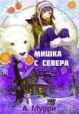 читать Мишка с севера