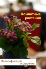 читать Комнатные растения. Классификация и строение