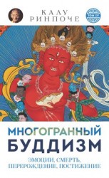 читать Многогранный буддизм. Том VI. Эмоции, смерть, перерождение, постижение