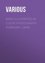 читать Birds Illustrated by Color Photography [February, 1898]