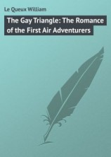 читать The Gay Triangle: The Romance of the First Air Adventurers