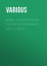 читать Birds, Illustrated by Color Photography, Vol. 1, No. 2