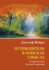 читать Путеводитель в поисках смысла. Открытие того, что имеет значение