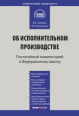 читать Комментарий к Федеральному закону от 2 октября 2007 г.  229-ФЗ «Об исполнительном производстве» (постатейный)