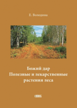 читать Божий дар. Полезные и лекарственные растения леса