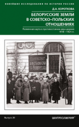 читать Белорусские земли в советско-польских отношениях