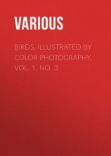 читать Birds, Illustrated by Color Photography, Vol. 1, No. 3