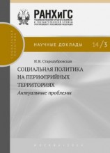 читать Социальная политика на периферийных территориях. Актуальные проблемы