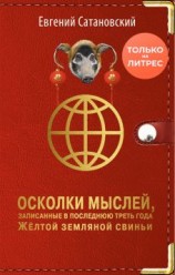 читать Осколки мыслей, записанные в последнюю треть года Жёлтой Земляной Свиньи