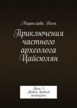 читать Приключения частного археолога Цайсюлян. Том 1. Тайна древней шкатулки