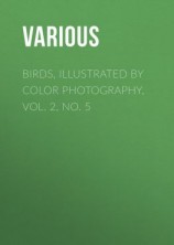 читать Birds, Illustrated by Color Photography, Vol. 2, No. 5