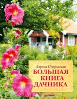 читать Большая книга дачника