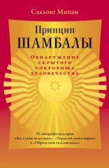 читать Принцип Шамбалы. Обнаружение скрытого сокровища человечества