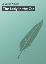 читать The Lady in the Car