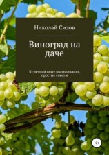 читать Как вырастить виноград на даче в Средней полосе России