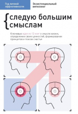 читать Год личной эффективности. Cледую большим смыслам. Экзистенциальный интеллект