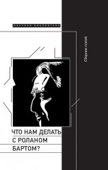 читать Что нам делать с Роланом Бартом? Материалы международной конференции, Санкт-Петербург, декабрь 2015 года