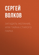 читать Загадать желание, или Тайна старого парка