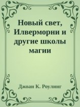 читать Новый свет, Илверморни и другие школы магии