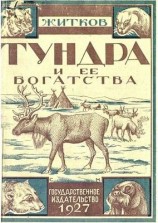 читать Тундра и ее богатства