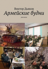 читать Армейские будни (сборник рассказов)