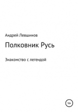 читать Полковник Русь